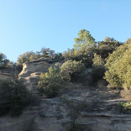Une Ronce Sous Le Figuier Rousset-les-Vignes Exterior foto