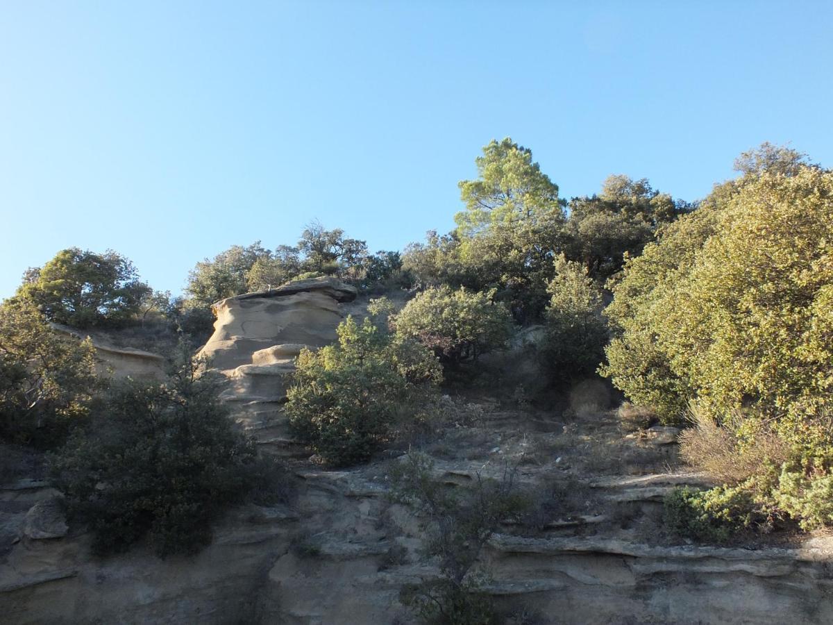 Une Ronce Sous Le Figuier Rousset-les-Vignes Exterior foto